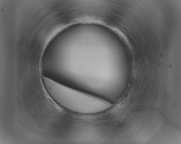 X0000088671191200705310951