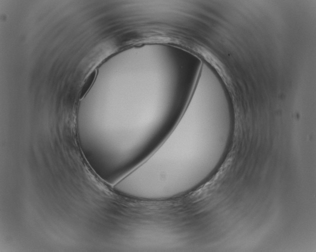 X0000088671193200705310951