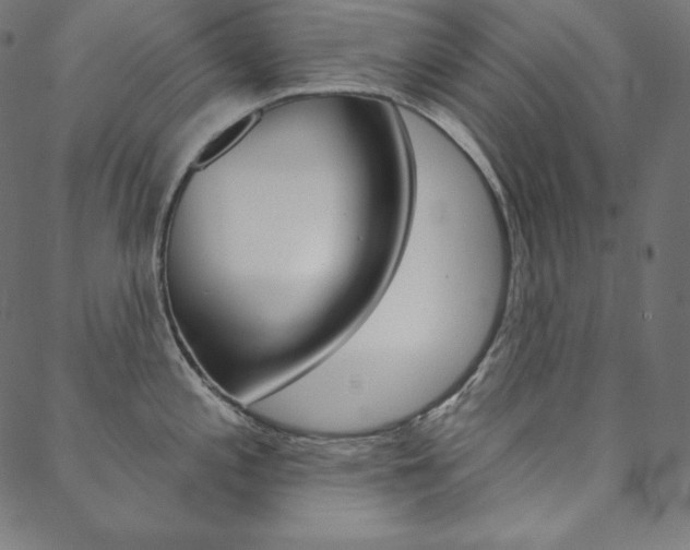 X0000088671197200705310951