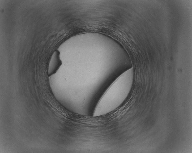 X0000088671201200705310950