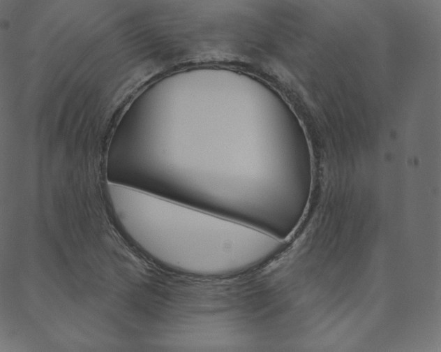 X0000088671217200705310950