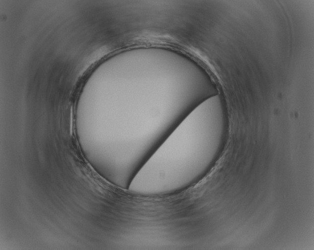 X0000088671219200705310950