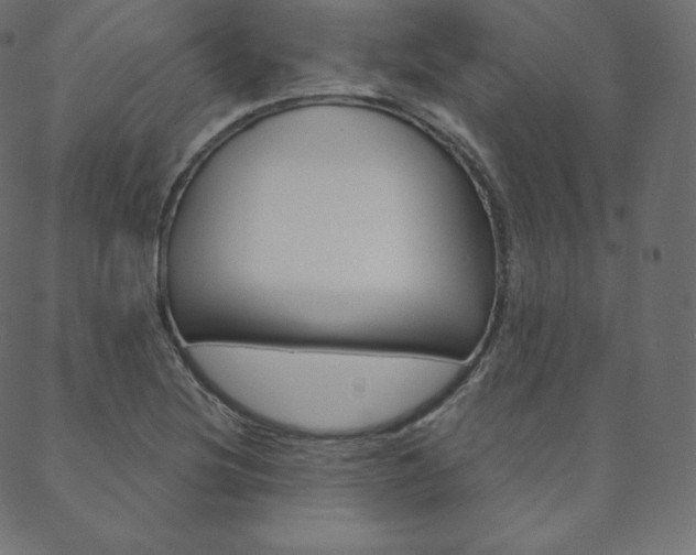 X0000088671220200705310950