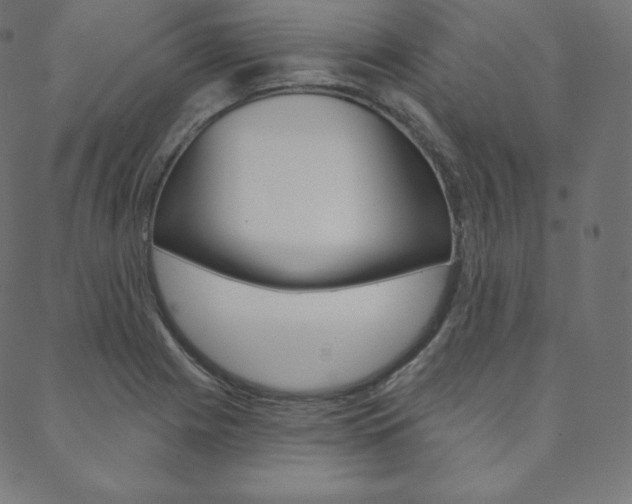X0000088671225200705310950