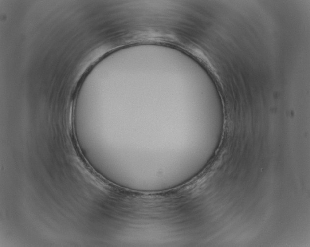 X0000088671227200705310950