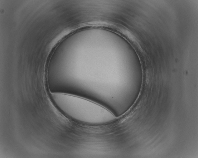 X0000088671229200705310950