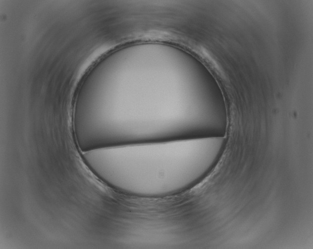 X0000088671232200705310951