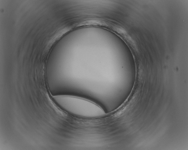 X0000088671233200705310951