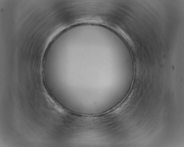 X0000088671240200705310951