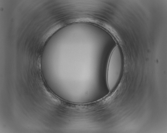 X0000088671241200705310951