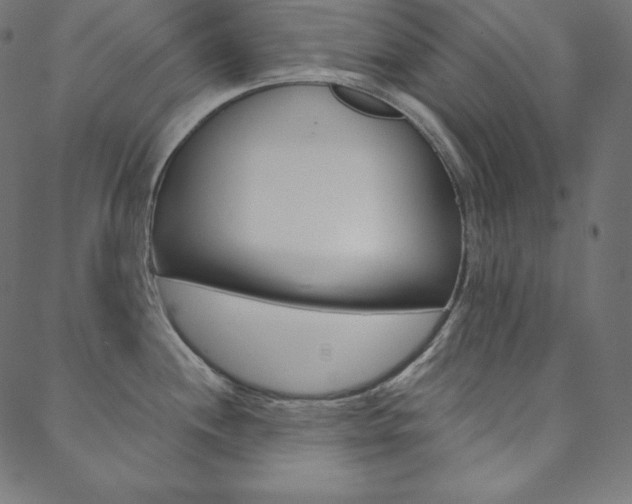 X0000088671244200705310951