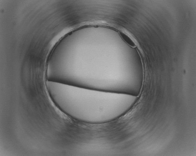 X0000088671245200705310951