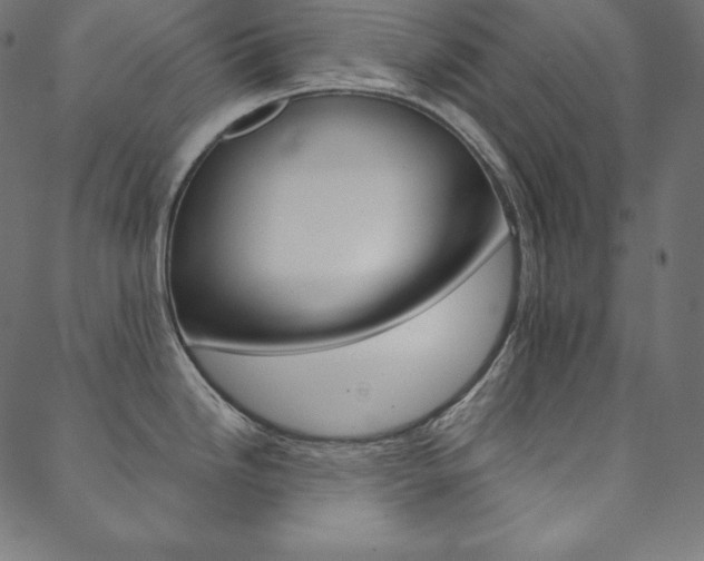 X0000088671246200705310951