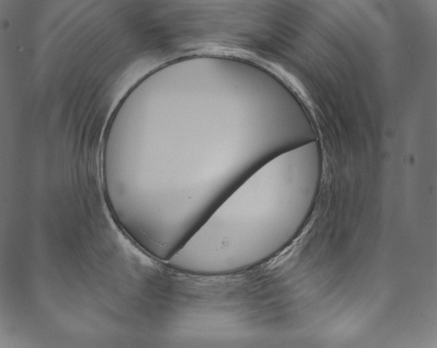 X0000088671247200705310951