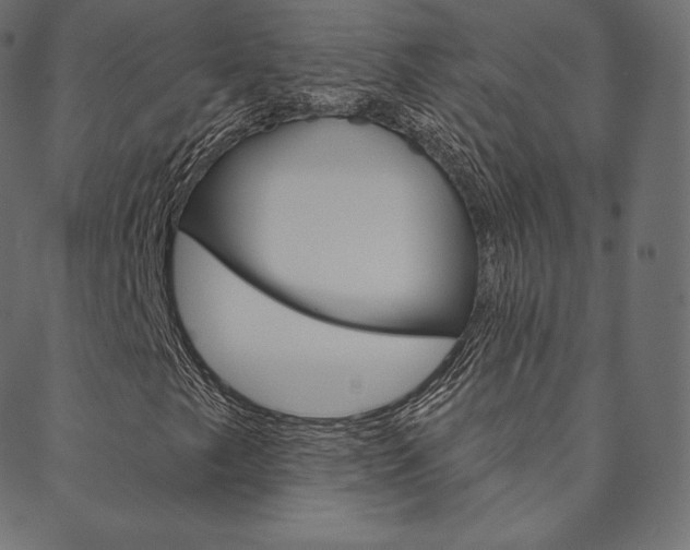 X0000088671249200705310950