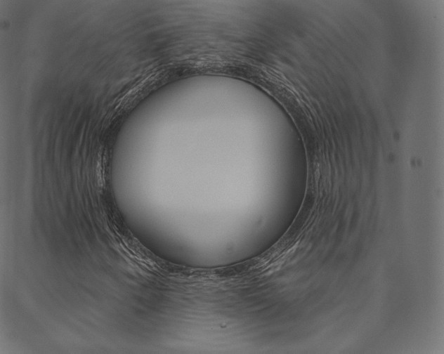 X0000088671250200705310950