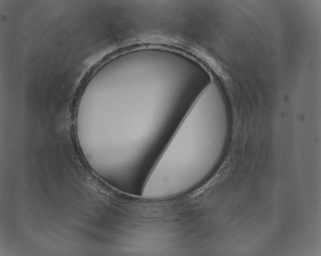 X0000088671264200705310950