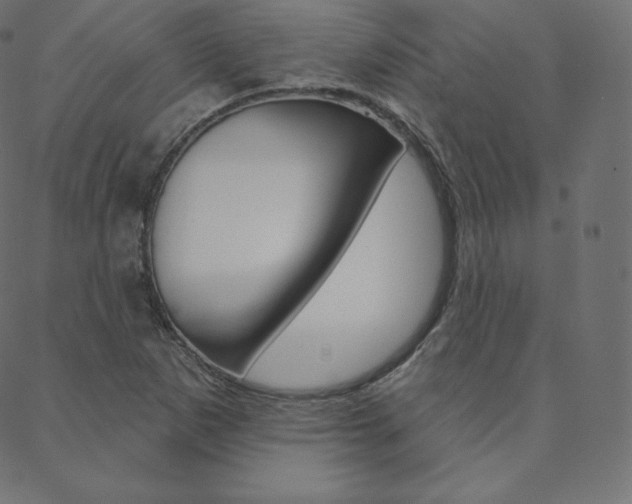 X0000088671265200705310950