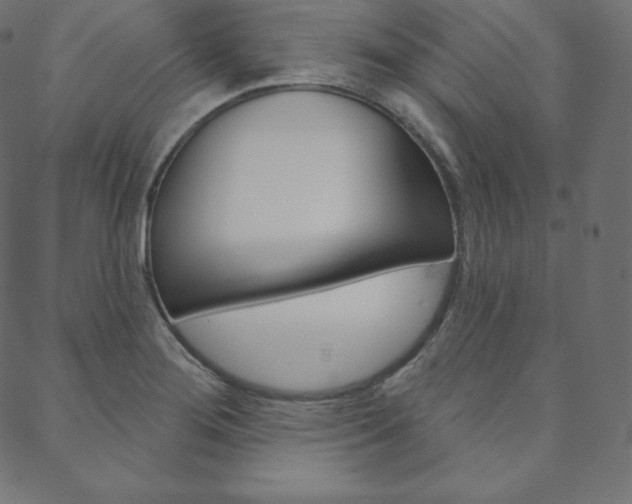 X0000088671276200705310950