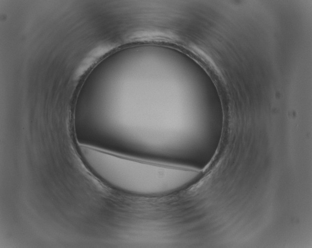 X0000088671277200705310950