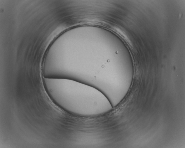 X0000088671283200705310949