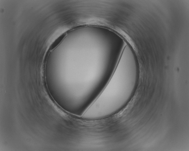 X0000088671285200705310949