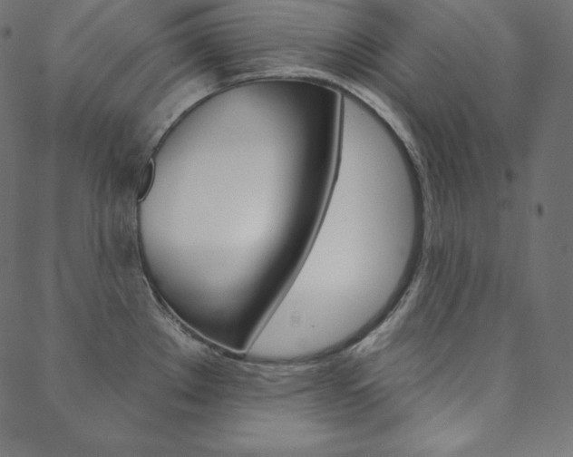 X0000088671289200705310949