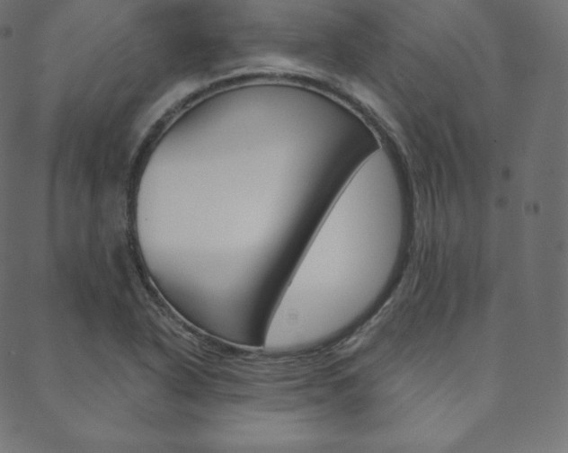 X0000088671318200705310949
