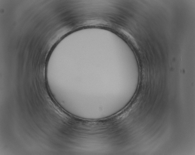 X0000088671322200705310949