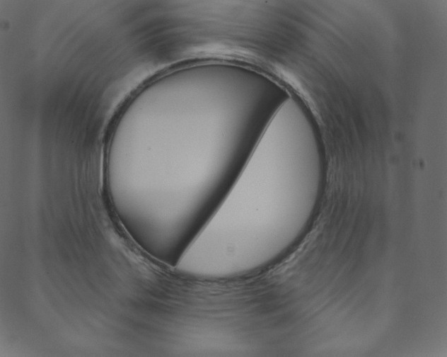 X0000088671323200705310949