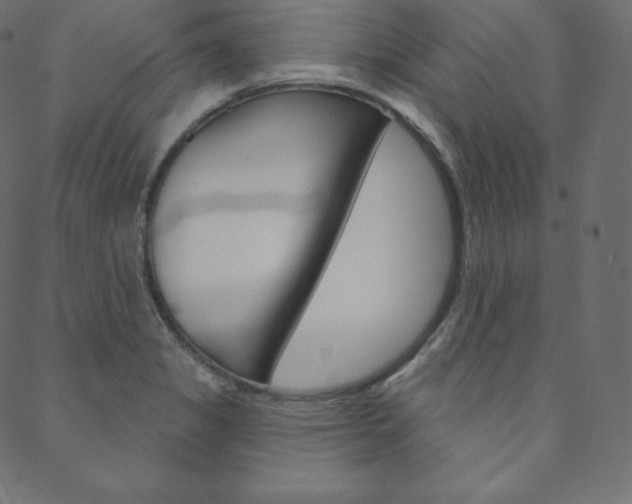 X0000088671325200705310949