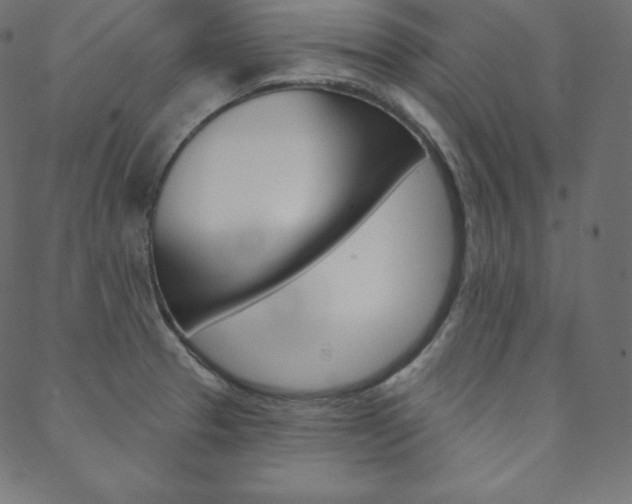 X0000088671329200705310949