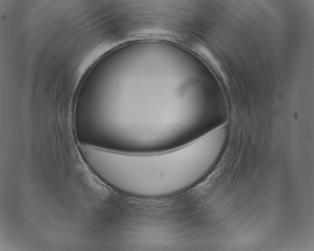 X0000088671336200705310949