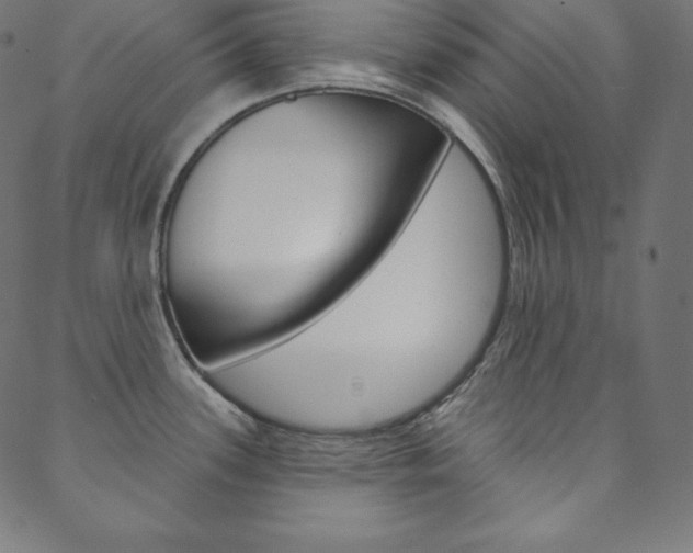 X0000088671339200705310949