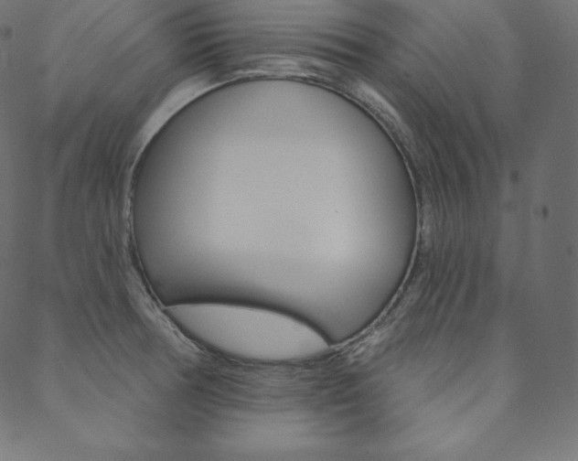 X0000088671378200705310948