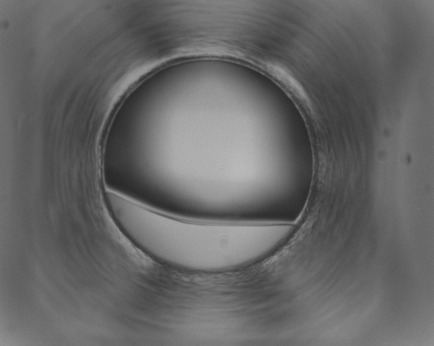 X0000088671380200705310948