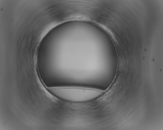 X0000088671383200705310948