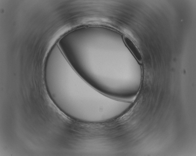X0000088671384200705310948