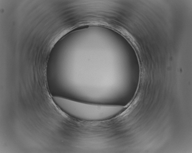 X0000088671385200705310948