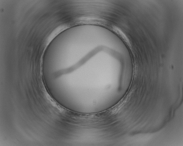 X0000088671386200705310948