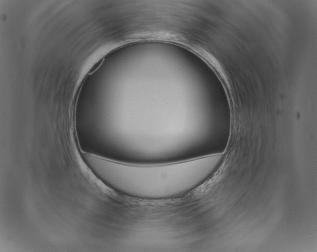 X0000088671389200705310948