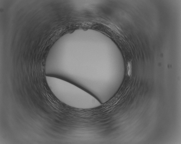 X0000088671395200705310947