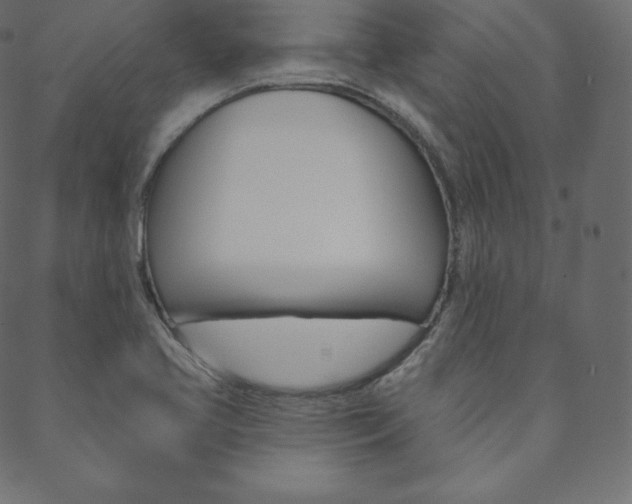 X0000088671413200705310947