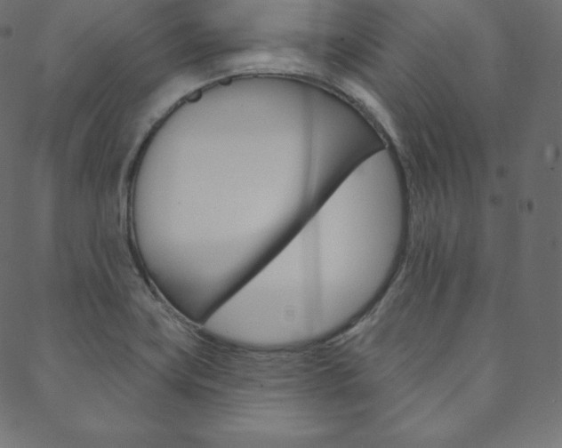 X0000088671419200705310947