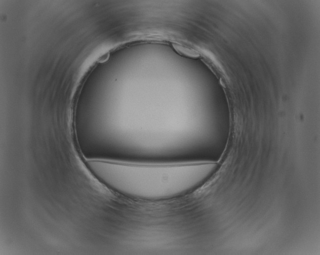 X0000088671424200705310947