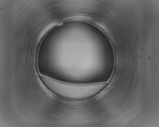 X0000088671426200705310947