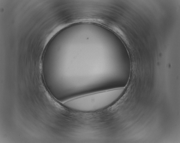 X0000088671428200705310947