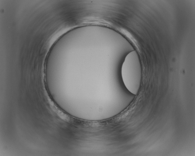 X0000088671431200705310947