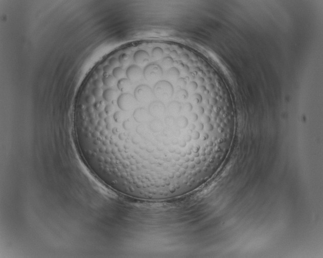 X0000088671432200705310948