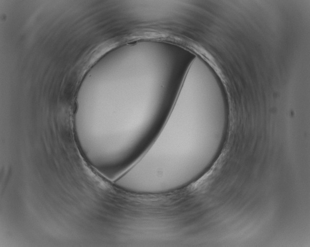 X0000088671433200705310948